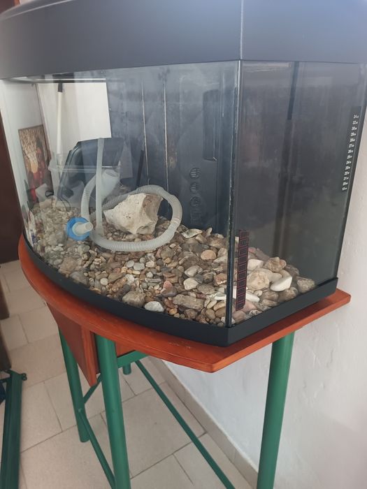 Aquário de 1 metro panorâmico