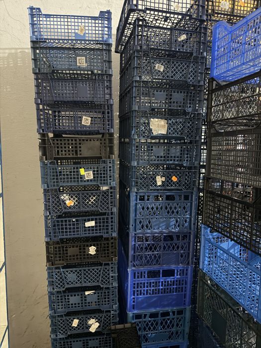 Skrzynka na pieczarki owoce warzywa