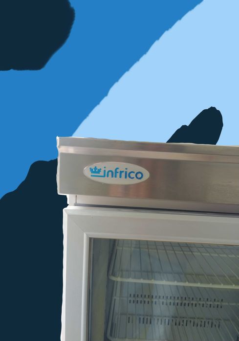 ARCA FRIGORIFICA VERTICAL INFRICO com programador