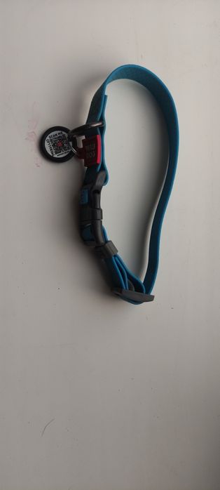 Намордник и ошейник