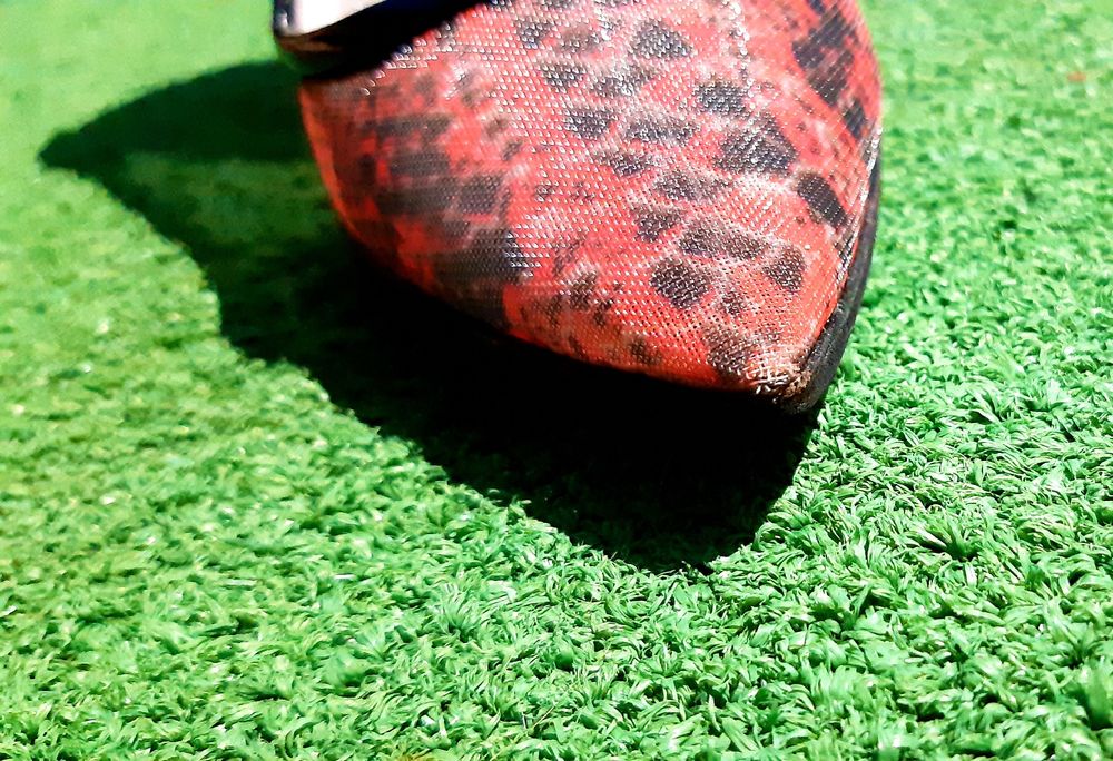 Жіночі туфлі Roberto Cavalli