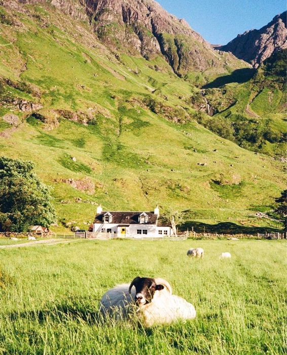 Kodak KB 10 плівковий фотоапарат