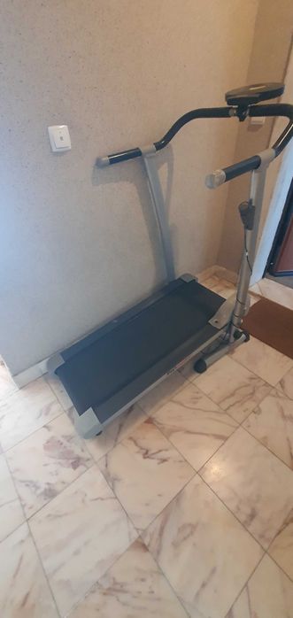 Passadeira promastet