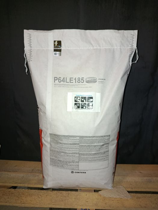 Насіння соняшнику Піонер P64LE185/Сінгента Суміко