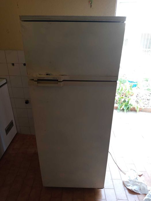 Lote de Frio: Arca Grande Bauknecht 305L + Frigorífico Snowcap (A Funcionar)