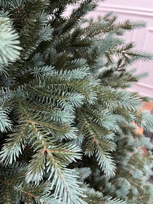 Аляска лита ялинка зелена з блакитними кінчиками Siga group Ёлка литая