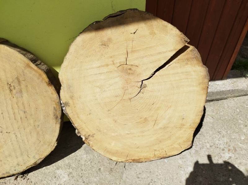 Sprzedam  krążki dębowe