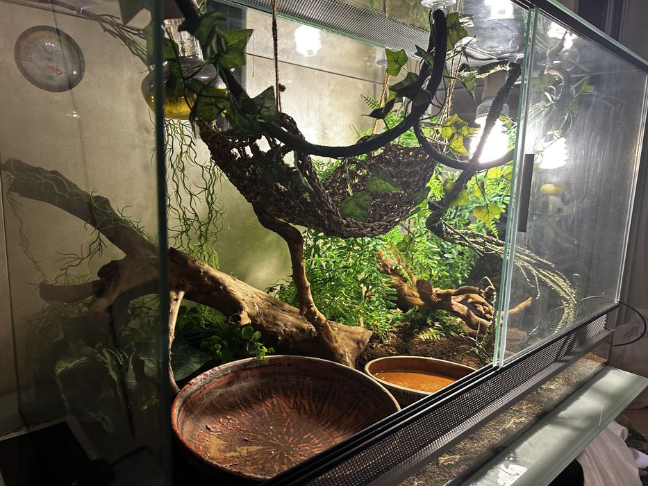 Великий тераріум ТЕРМІНОВО