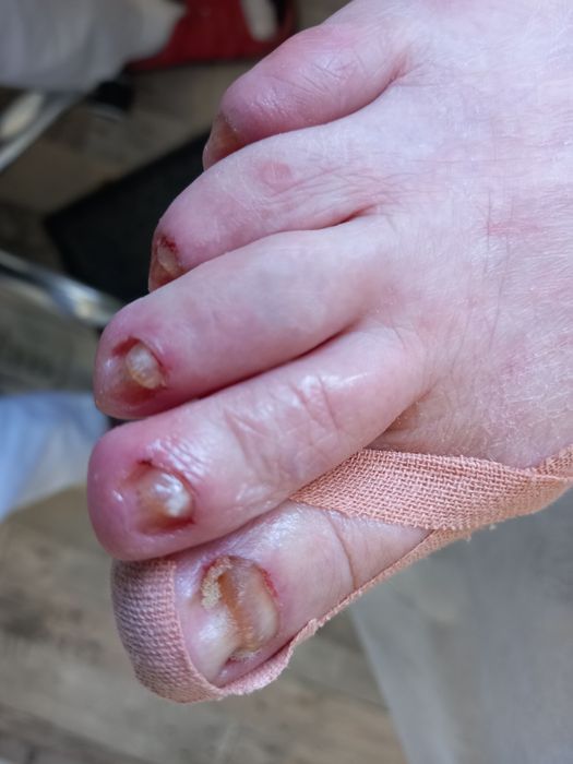 Mobilny Podolog na teranie Poznania i okolic