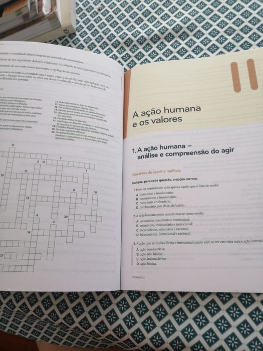 Novos Contextos 10 + Caderno de Atividades
