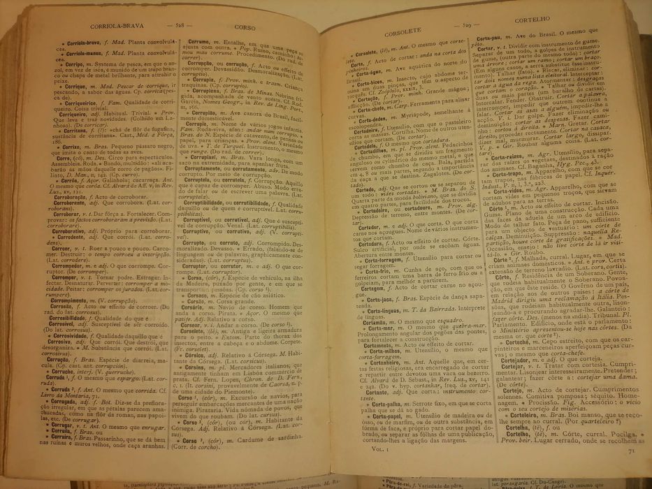 Novo Dicionário da Língua Portuguesa Terceira Edição