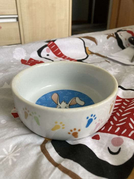 Miseczka ceramiczna dla królika,świnki morskiej