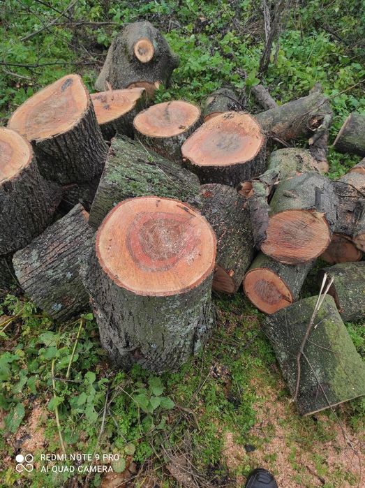 Продам Дрова Твёрдых пород