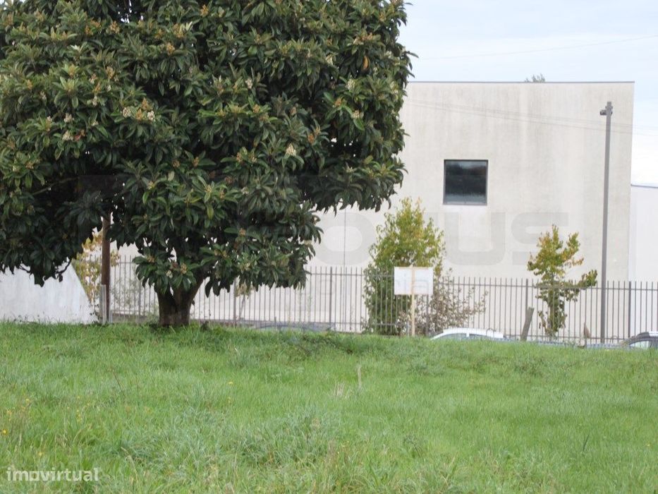 Terreno para venda junto á Escola Secundaria de Estarreja