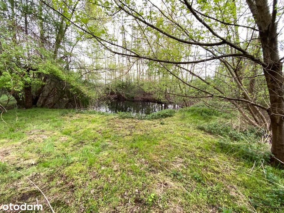 Aleksandrów Wawer 3222 m² działka z domem - Więcej