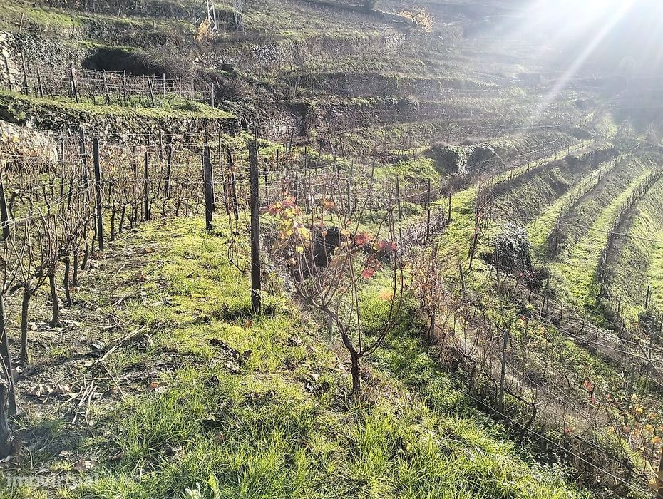 Terreno  para venda