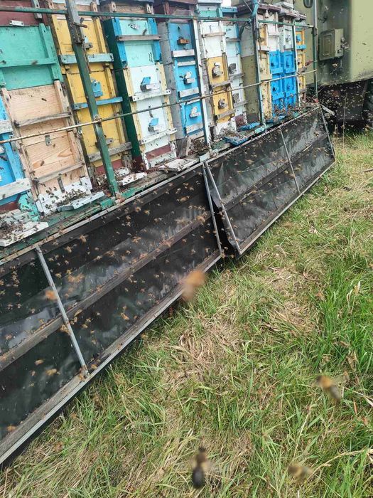 Продам рамки для вуликів українська система