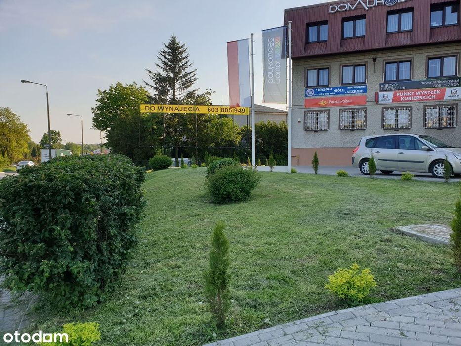 Konstrukcja reklamowa na działce do wynajęcia 39 m² - Widok 4