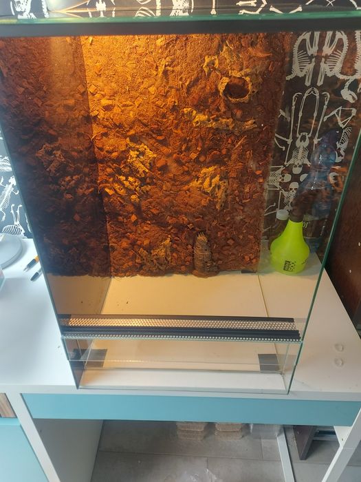 Terrarium szklane 40x40x60