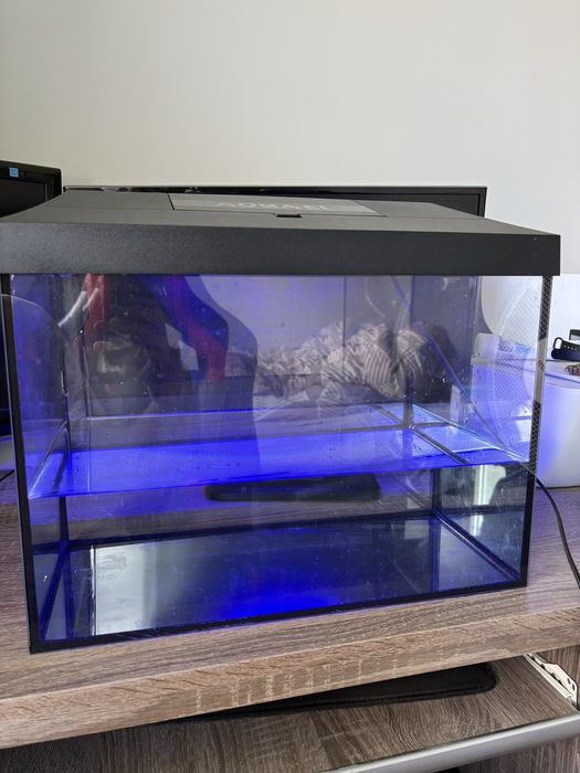 Akwarium 30l day&night