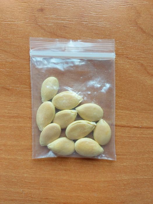 насіння банановий гарбуз семена банановая тыква