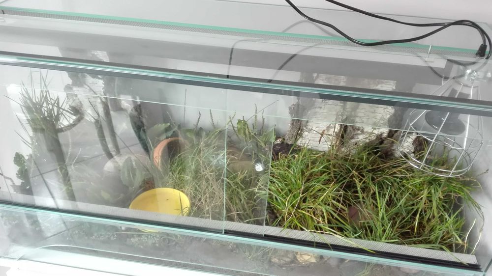 Duże terrarium z szafką i nowym promiennikiem !