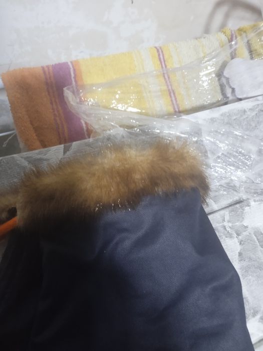 Одежда для собак;