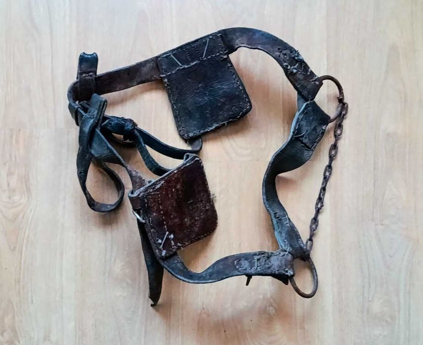 Cabeção couro genuíno século XX decoração equitação