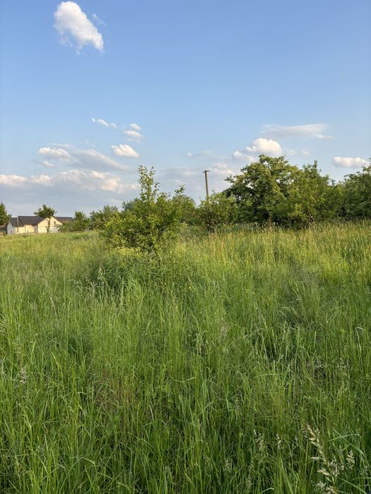 Земельна ділянка Болехів