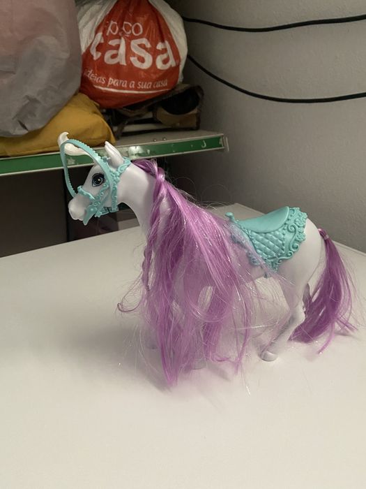 Poneis e um cavalo