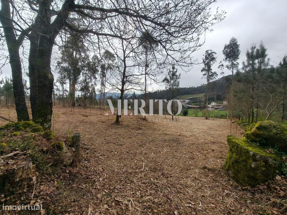 Terreno Agrícola com 10.760m2 em Cossourado frente ao Rio Neiva