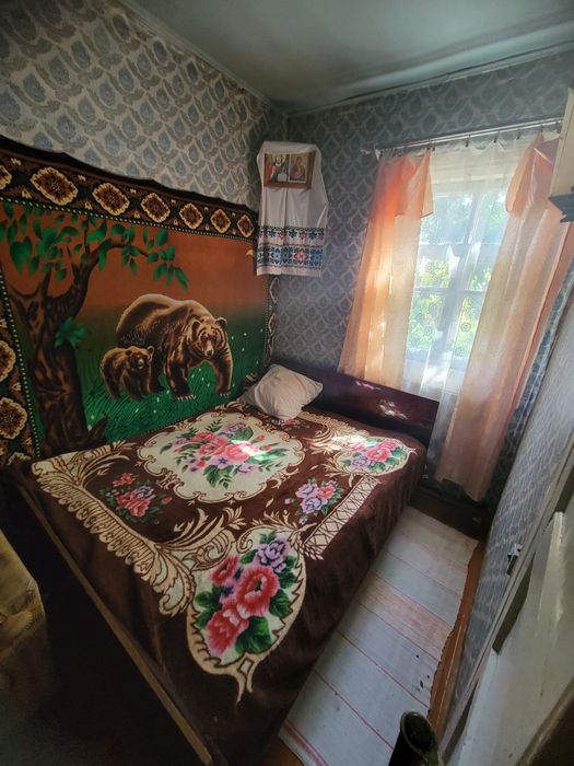 Продам будинок в мальовничому селі