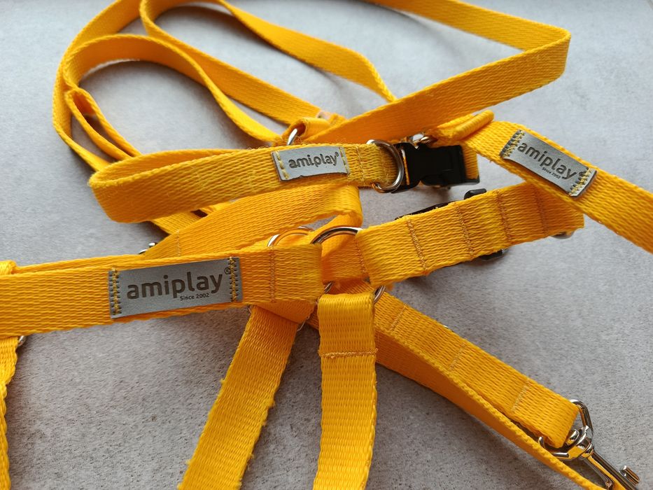 Amiplay żółty komplet Samba obroża, smycz, szelki dla psa