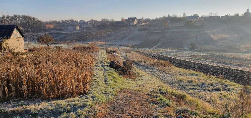 Земельна ділянка