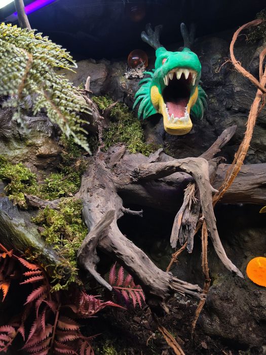 Terrarium na wymiar z aranżacją
