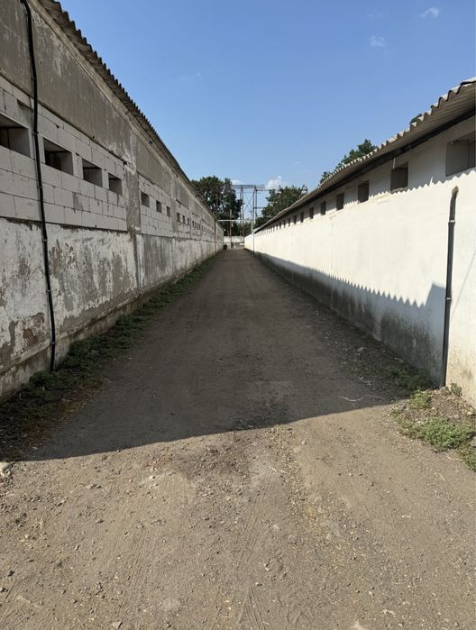 Продам помещение с. Голубовка