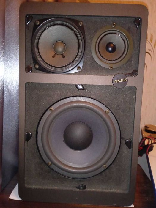 Комплект підсилювач Radiotehnika У-101+ Visonik Da Capo 70