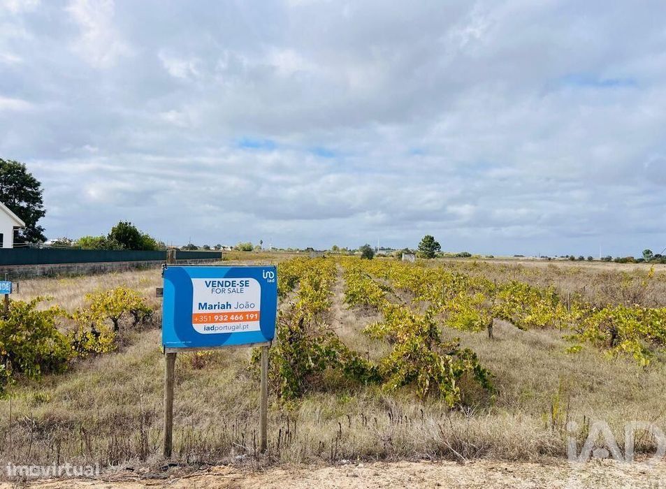 Terreno em Alpiarça de 8080,00 m2