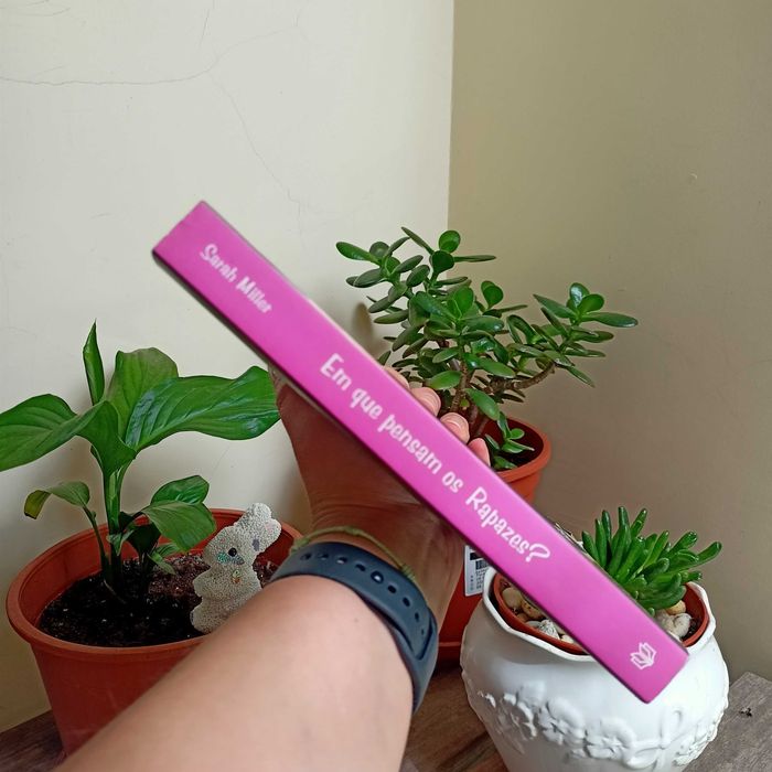 "Em que Pensam os Rapazes", de Sarah Miller