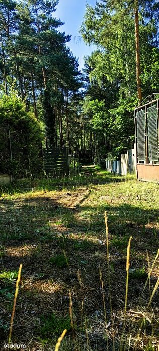 Działka 1567 m² z potencjałem podziału – Żarki-Letnisko