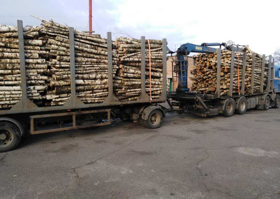 Без передплат і посередників. Дубові дрова. (4-15 м3)