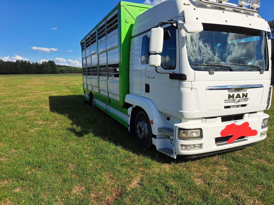 Man TGM 12.290  daf