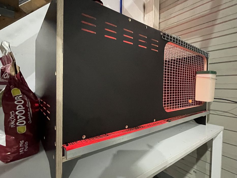 Criadeira - Incubadora Pintos primeiros dias