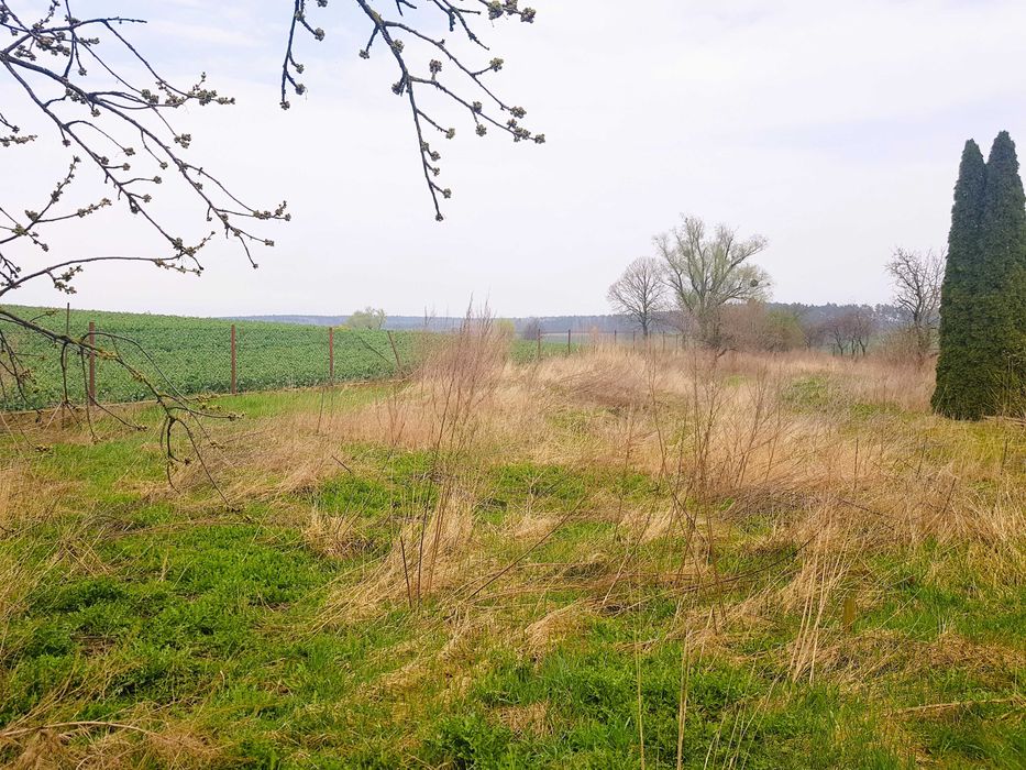 Działka budowlana 700 m² - Widok 2