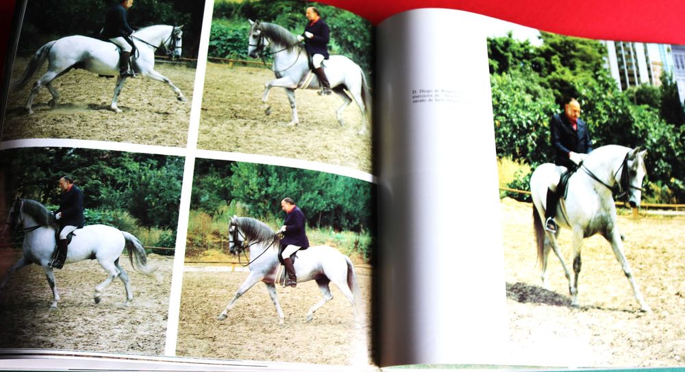 Arte Equestre: Cavalo Lusitano - O Filho do Vento, livro 1993