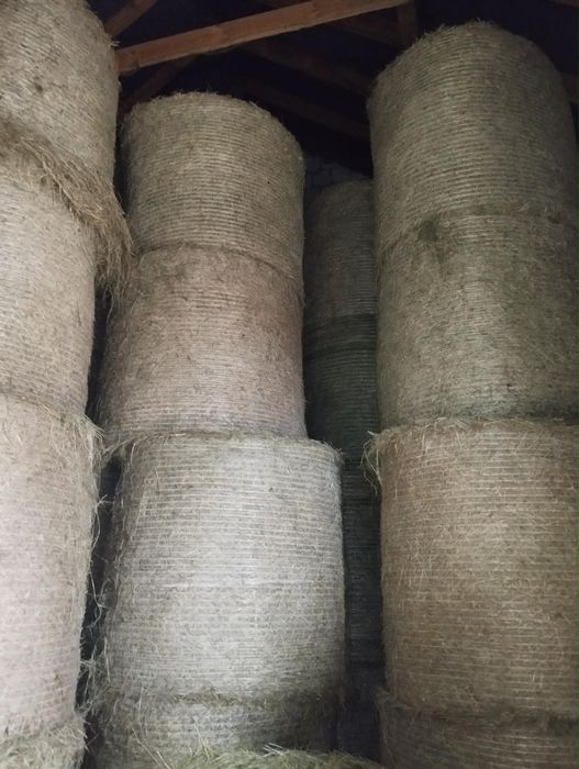 Sprzedam siano w balotach