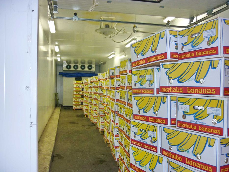 Холодильне кліматичне устаткування камера для бананів Закарпаття