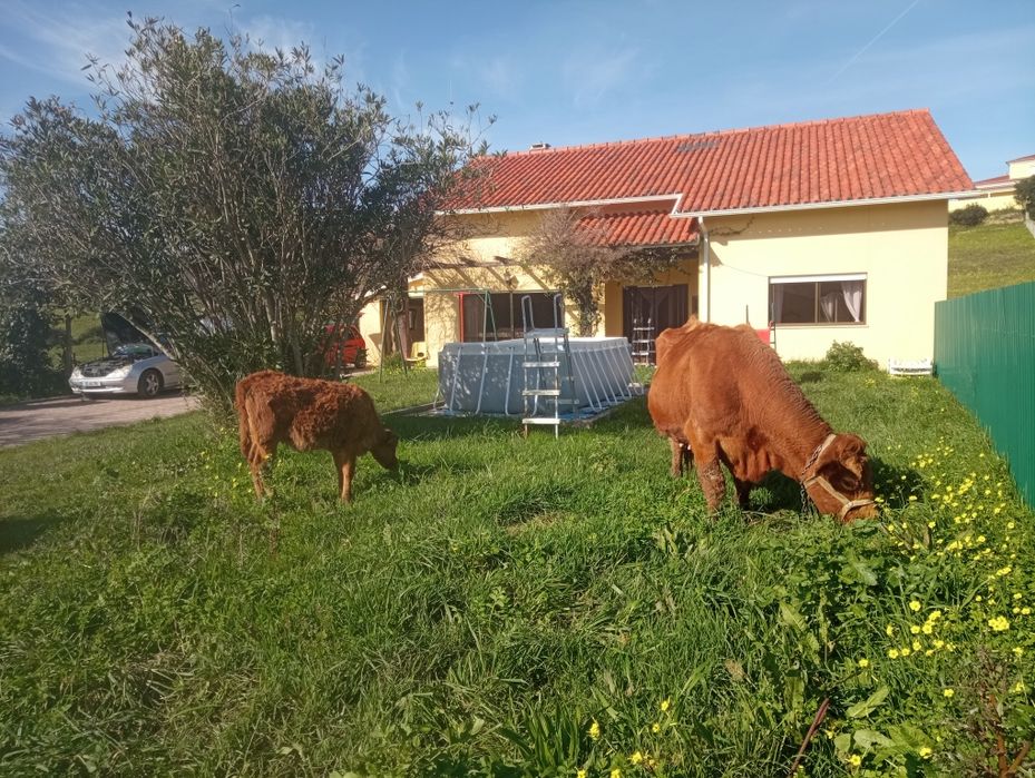 Dispenso mãe e filha