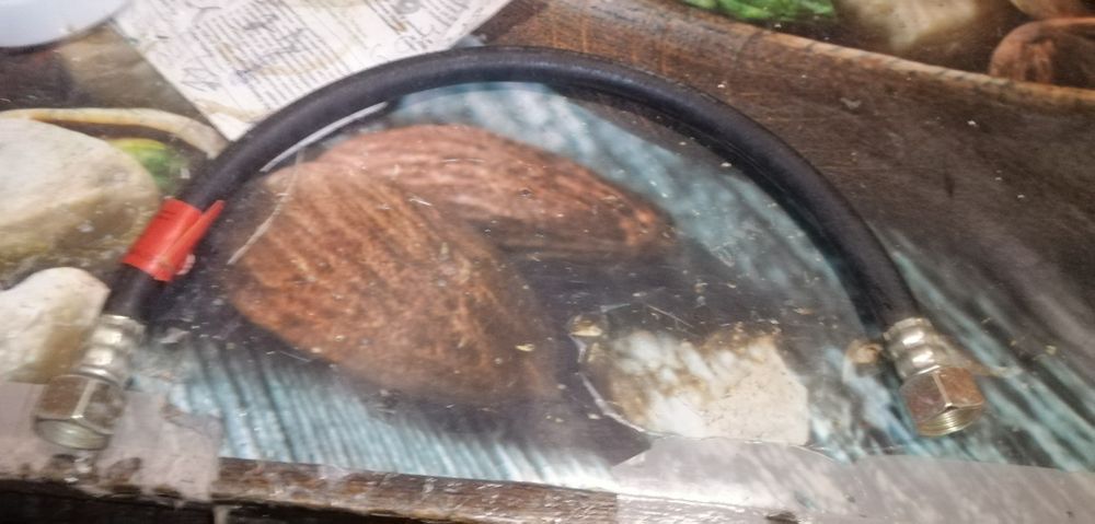 Газовый шланг 0.5м