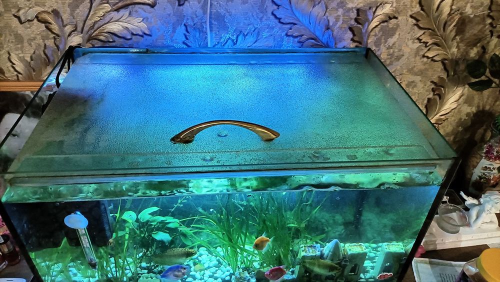 Продам аквариум со всем комплектующим .